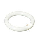 Tube de rechange Lumeno T9 6122, tube annulaire 22 watts pour lampes-loupes