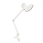 Lampada Lumeno 861X con lente ovale e morsetto da tavolo, vista d'insieme